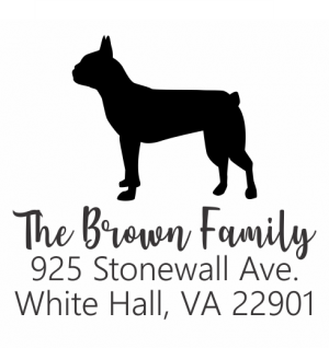 Boston Terrier