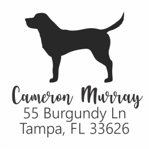 Labrador Retriever