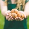 Personalized Egg Stamps - Image 3